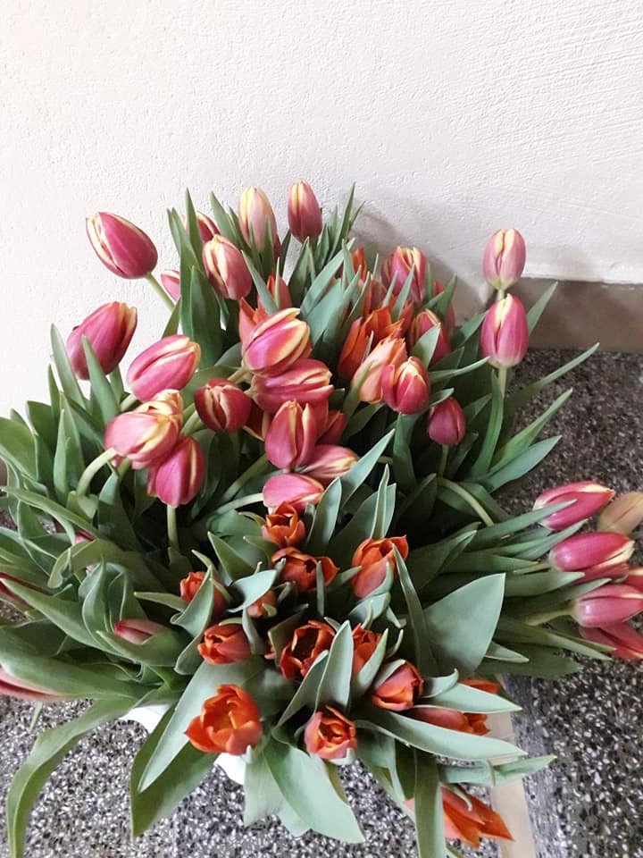 Nasi panowie spisali się na medal,dziękujemy. Dzień Kobiet 2020 (2).jpg