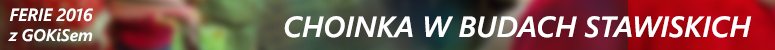 feriie 2016 choinka w budach stawiskich