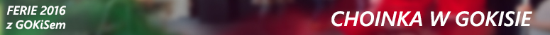 feriie 2016 choinka w gokisie