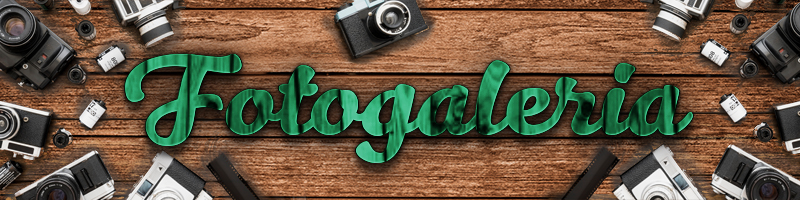 fotogaleria